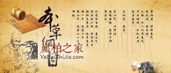 爆料:喝“崖柏茶”的注意了!内幕如此惊人!-4
