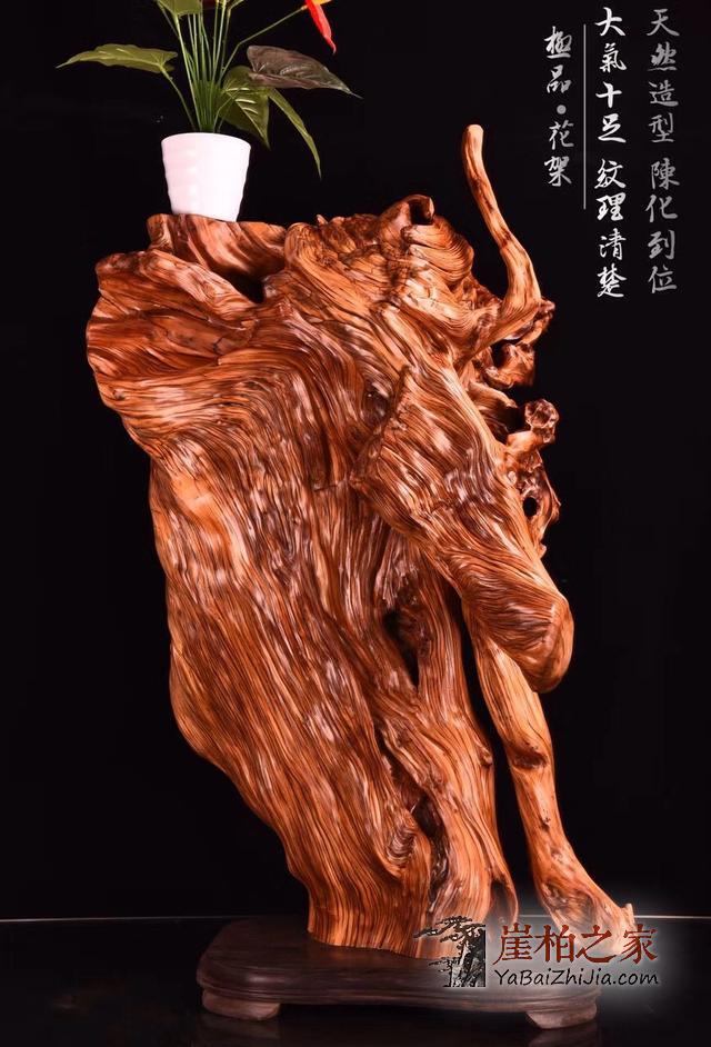 崖柏为何越来越火?可玩性,收藏性,实用性这三点就让人趋之若鹜-1
