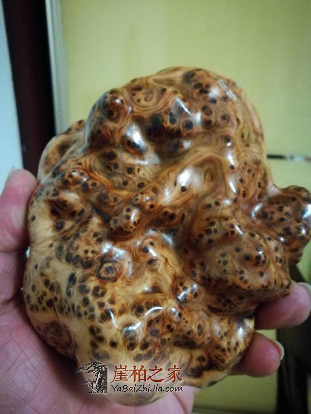 崖柏为何越来越火?可玩性,收藏性,实用性这三点就让人趋之若鹜-6