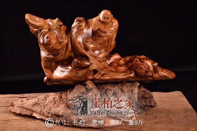 植物学视角和收藏视角下的崖柏究竟有何不同?-1