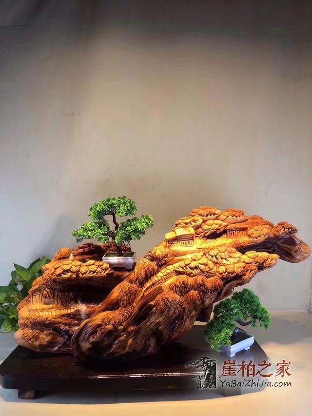 植物学视角和收藏视角下的崖柏究竟有何不同?-4