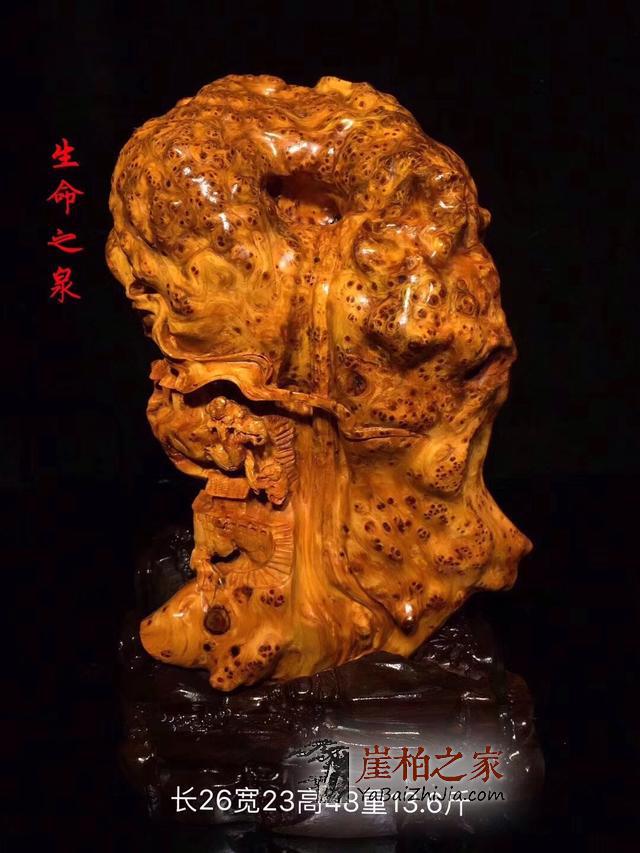 植物学视角和收藏视角下的崖柏究竟有何不同?-5