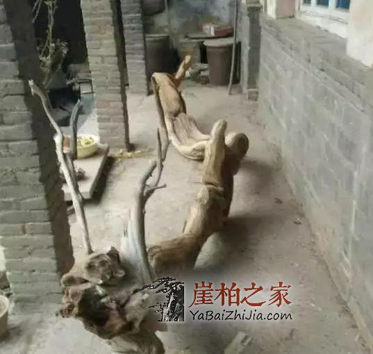 都说文玩靠炒作,如今的崖柏,你还能接受它么?-1