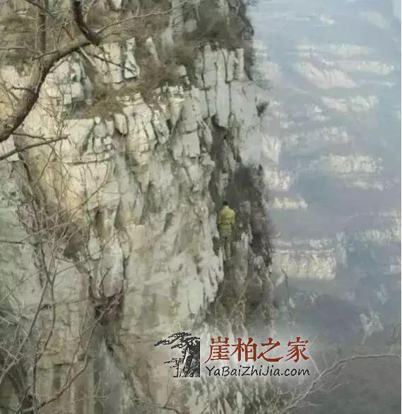 都说文玩靠炒作,如今的崖柏,你还能接受它么?-3