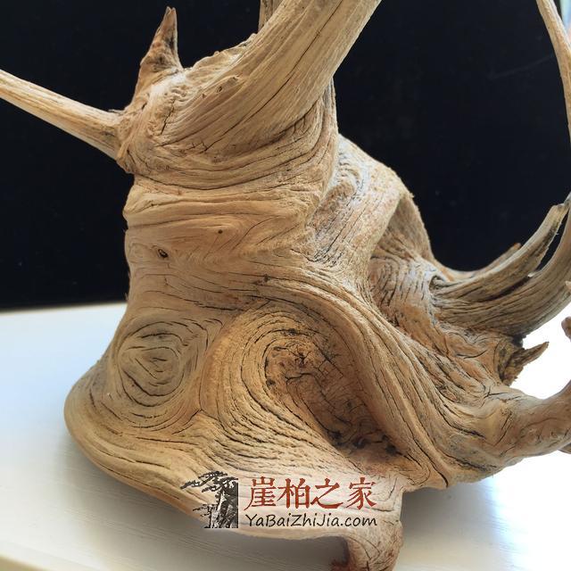 崖柏毛料科普,崖柏新手看过来-11