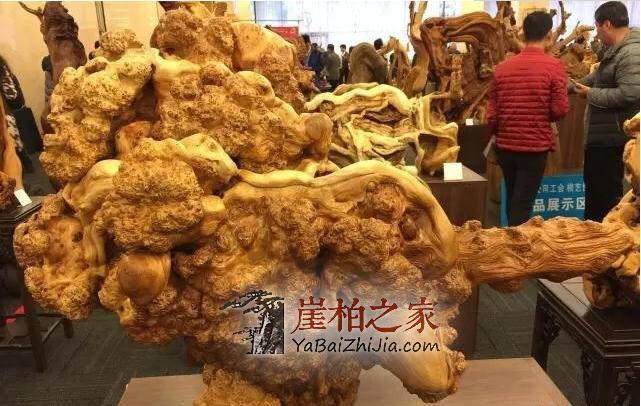 崖柏瘤疤:崖柏中的“宠儿”,价值不菲-2