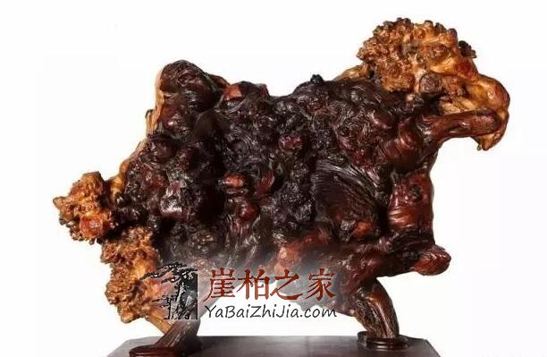 崖柏瘤疤:崖柏中的“宠儿”,价值不菲-6