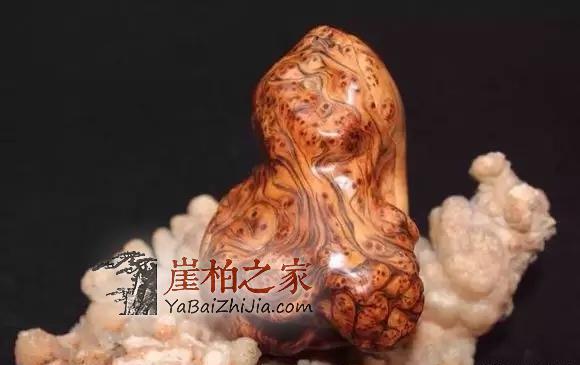 崖柏瘤疤:崖柏中的“宠儿”,价值不菲-7