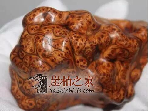 崖柏瘤疤:崖柏中的“宠儿”,价值不菲-8