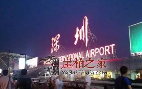 保存财富,从艺术品收藏开始!火爆的崖柏是你不二的选择!-3
