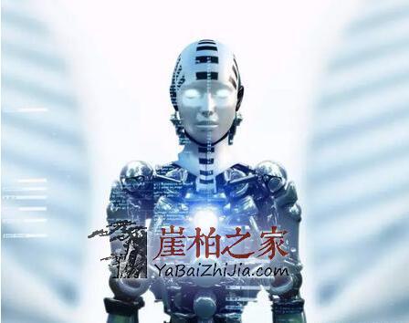保存财富,从艺术品收藏开始!火爆的崖柏是你不二的选择!-4