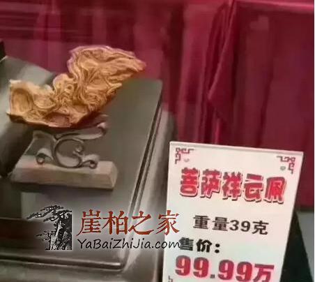 6亿崖柏现身山东展会,可悲可笑的无知崖柏人!-4
