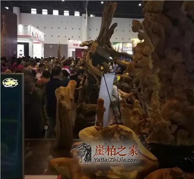 崖柏市场回暖,柏友们疯狂抢料,河南焦作市场人山人海-3