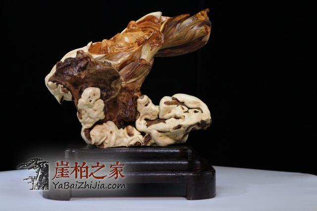 崖柏价格疯狂上涨,柏友们购买时千万要擦亮眼睛-2