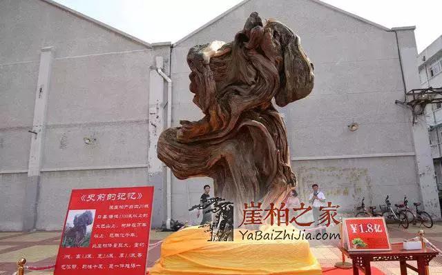央视又爆:崖柏行情是否已崩盘?未来走势如何?-1