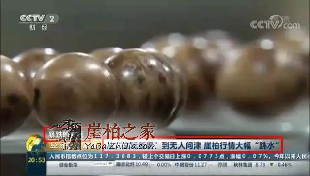 央视又爆:崖柏行情是否已崩盘?未来走势如何?-2