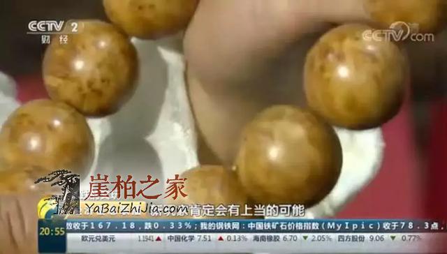 央视又爆:崖柏行情是否已崩盘?未来走势如何?-5