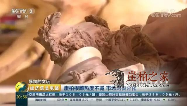 央视又爆:崖柏行情是否已崩盘?未来走势如何?-7