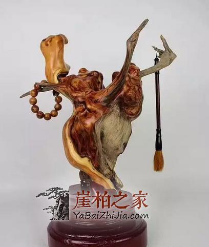 太行山有多少崖柏?市场上哪来那么多的太行料?-1