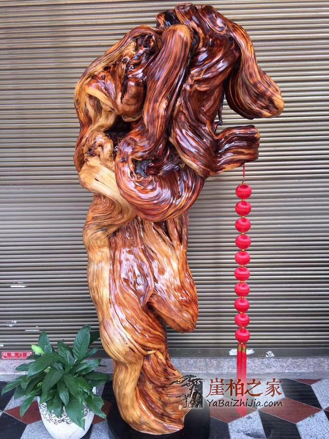 崖柏的味道是什么?收藏崖柏,只要找到自己喜欢的味道就好-2
