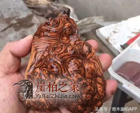 800块买来的崖柏,打磨出来居然卖了8万!这个崖柏传奇说明了什么呢?-2