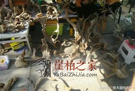 800块买来的崖柏,打磨出来居然卖了8万!这个崖柏传奇说明了什么呢?-6