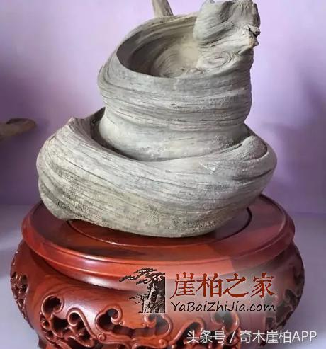 800块买来的崖柏,打磨出来居然卖了8万!这个崖柏传奇说明了什么呢?-5