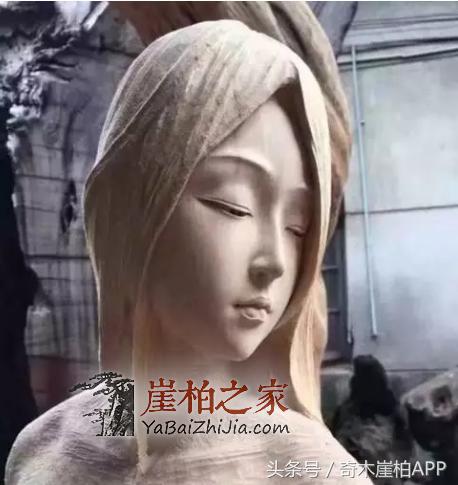 爱崖柏的女人,气质非凡!-1