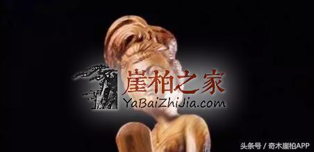 爱崖柏的女人,气质非凡!-2