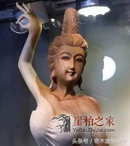 爱崖柏的女人,气质非凡!-5