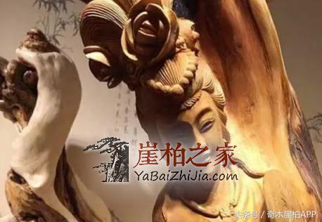 爱崖柏的女人,气质非凡!-6