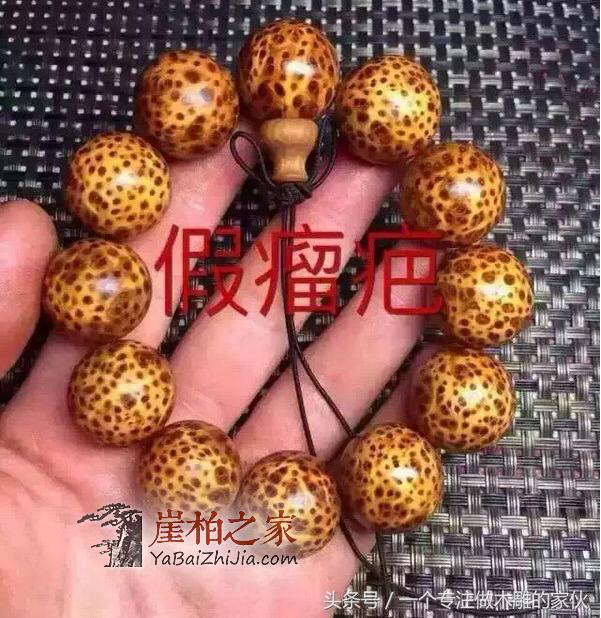 佛珠手串:柏的最大分支种类-1