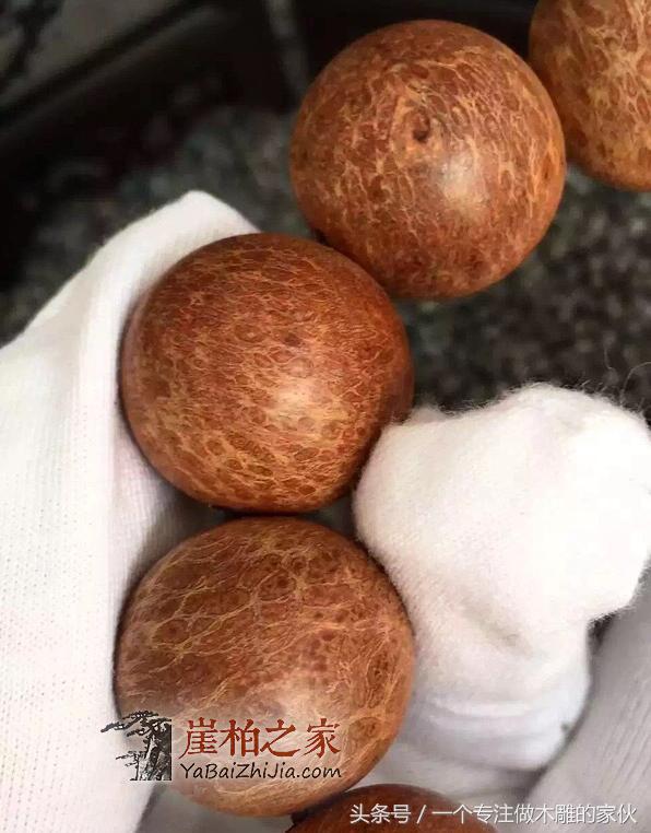 佛珠手串:柏的最大分支种类-7