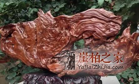 崖柏打磨技巧之如何保留原皮?-1