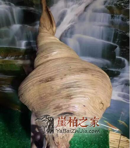 崖柏打磨技巧之如何保留原皮?-3
