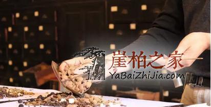 崖柏的神奇功效,竟然连老中医也认可!-1
