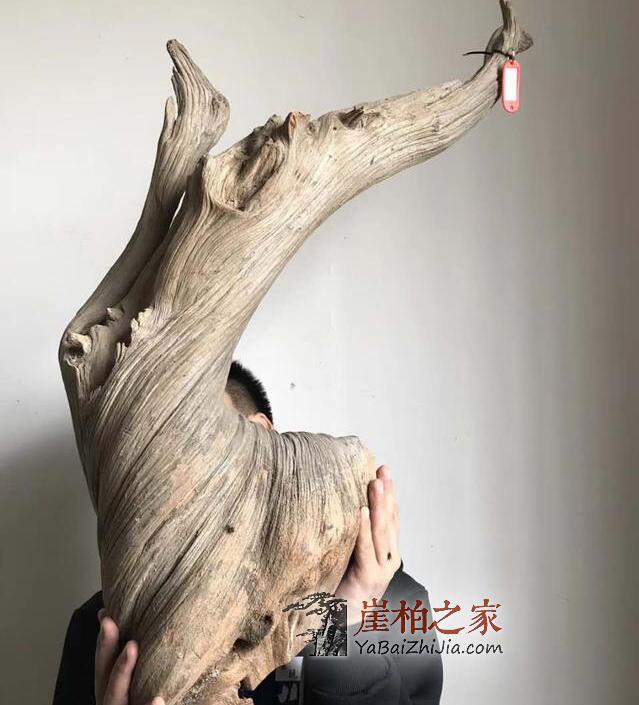 崖柏骨料,白粉骨料,红骨料,黑骨料是什么,怎么形成的-2