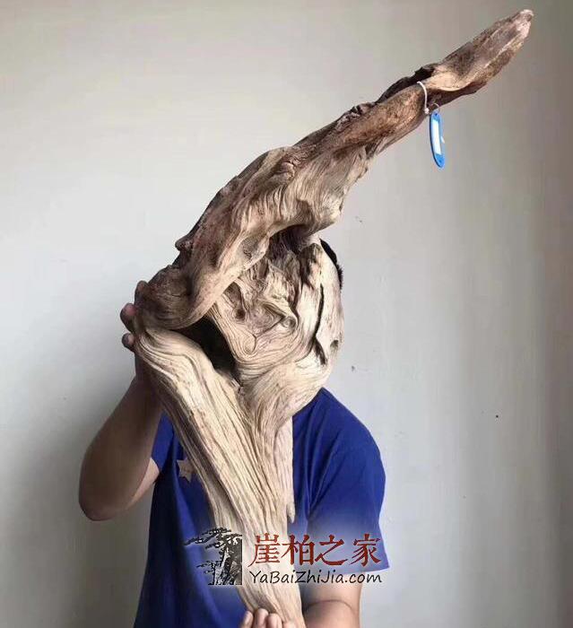 崖柏骨料,白粉骨料,红骨料,黑骨料是什么,怎么形成的-3