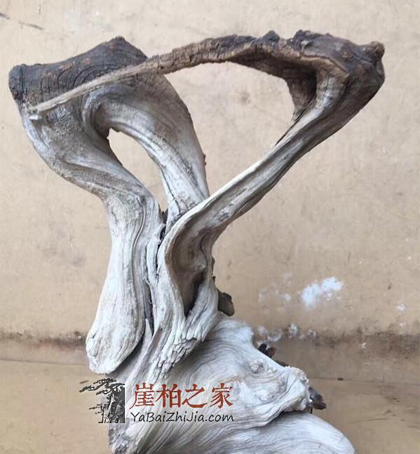崖柏骨料,白粉骨料,红骨料,黑骨料是什么,怎么形成的-4