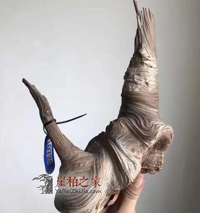 崖柏骨料,白粉骨料,红骨料,黑骨料是什么,怎么形成的-5
