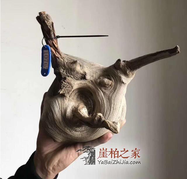 崖柏骨料,白粉骨料,红骨料,黑骨料是什么,怎么形成的-8