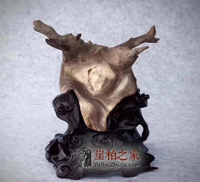崖柏骨料,白粉骨料,红骨料,黑骨料是什么,怎么形成的-9