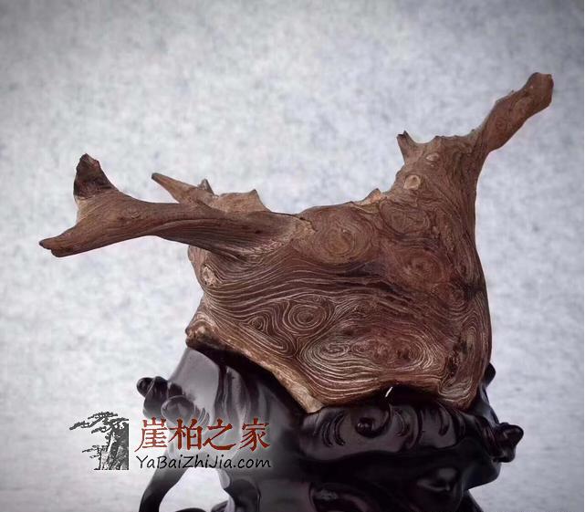 崖柏骨料,白粉骨料,红骨料,黑骨料是什么,怎么形成的-10