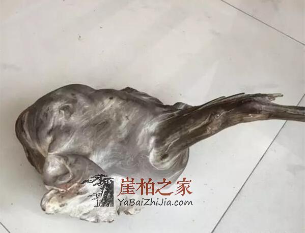 崖柏骨料,白粉骨料,红骨料,黑骨料是什么,怎么形成的-11