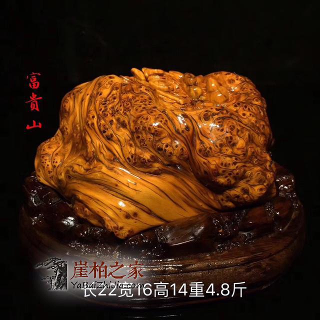 黑心商家套路深,崖柏造假方法提前知,小心掉坑里!-5