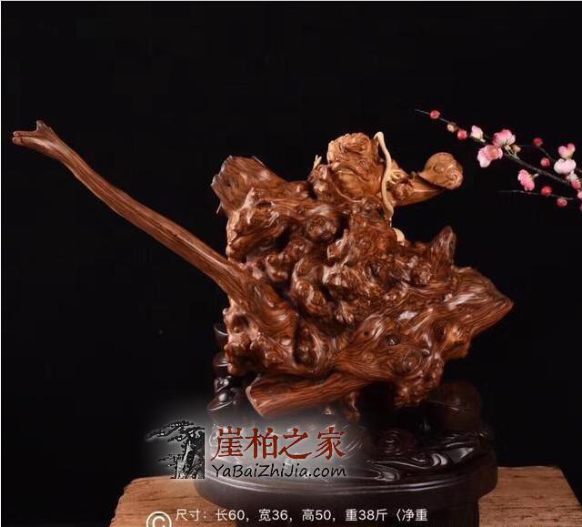 关于崖柏真正的价值你有了解多少呢?-3