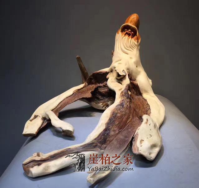 “神圣之木”崖柏诠释中国文化!-2