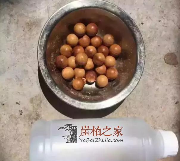 崖柏奸商造假猖獗,高明的玩家也有看走眼的时候!-2