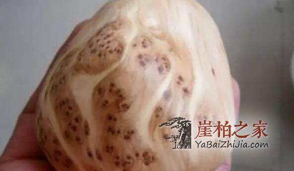 崖柏奸商造假猖獗,高明的玩家也有看走眼的时候!-7