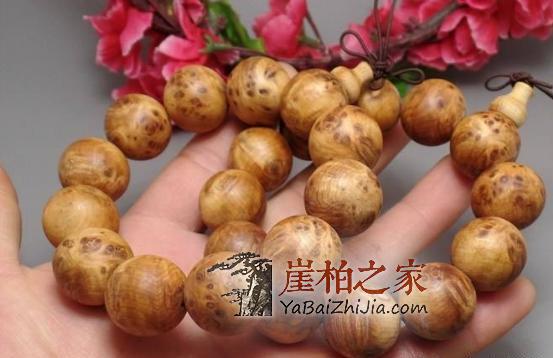 有人教你这样挑选崖柏?你要果断的说“不”!-8